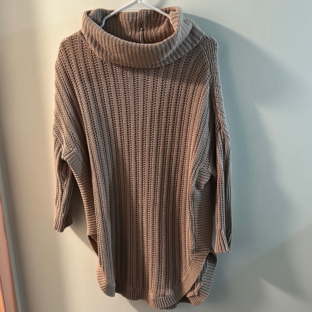 Express turtle neck sweater